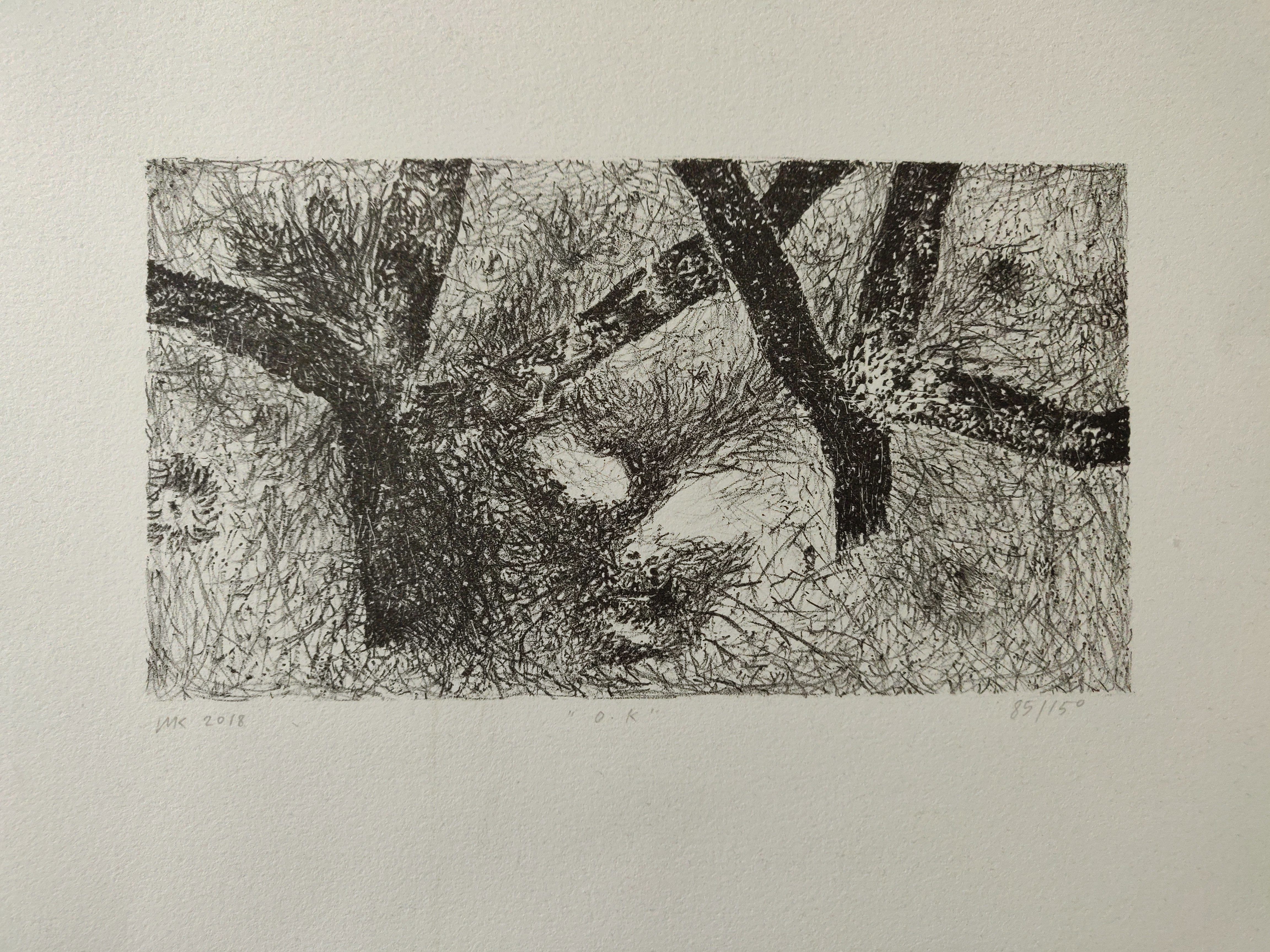 Img 20190210 130558565300641525941981 E1549800806609